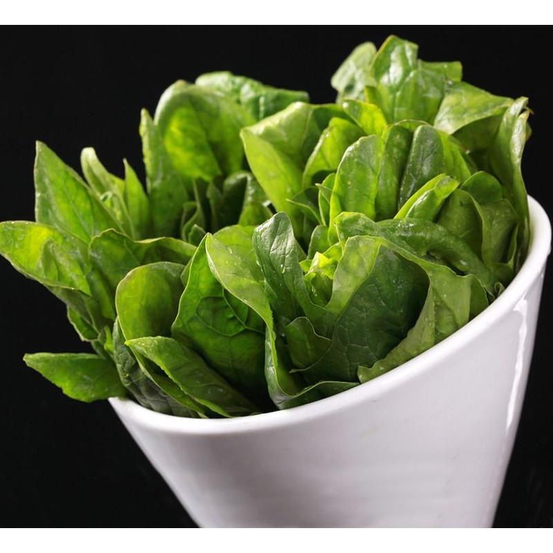 Green Salad Spinach Leave Seeds