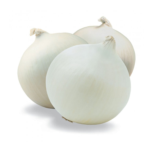 White Onion Heirloom Vegetable Seeds