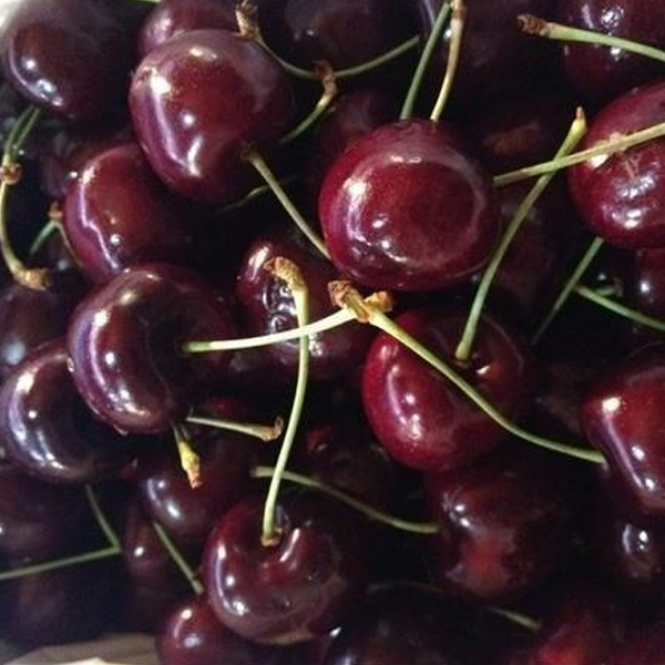 Dwarf Cherry Tree Fruit Seeds