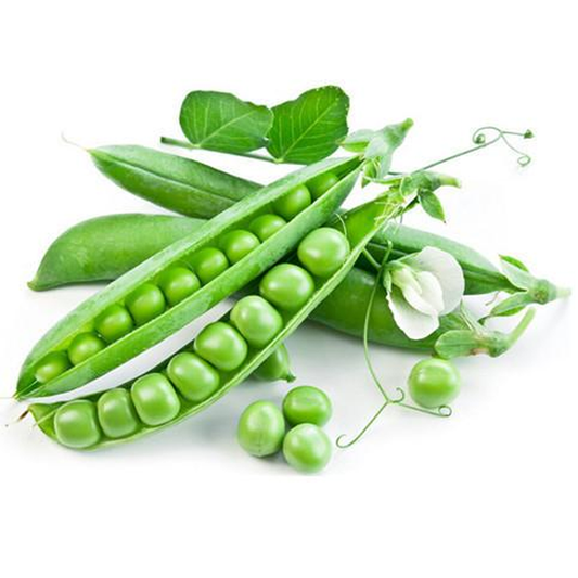 Sugar Snap Pea (200 Seeds)