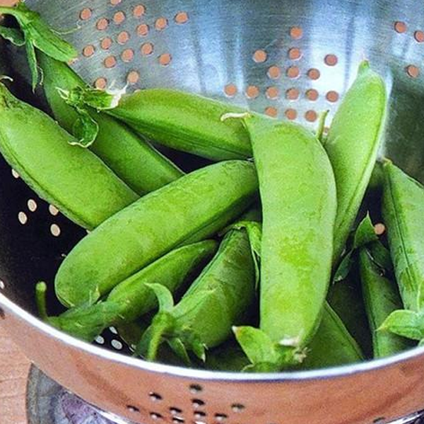 Sugar Snap Pea (200 Seeds)