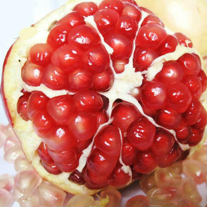 Red Pomegranate Seeds