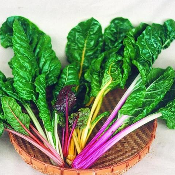 Bright Lights Swiss Chard (50 Seeds)