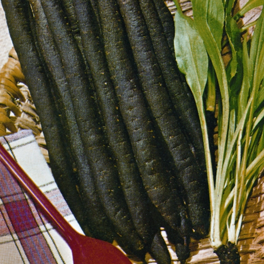 Black Carrot Vegetable Seeds