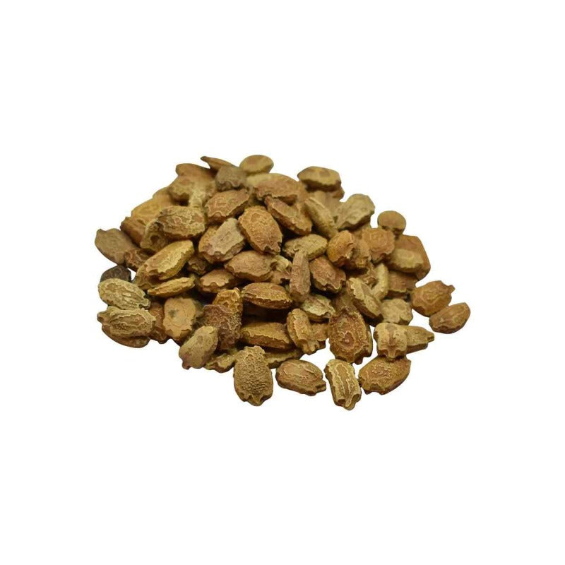 Chunfeng Bitter Gourd Seeds