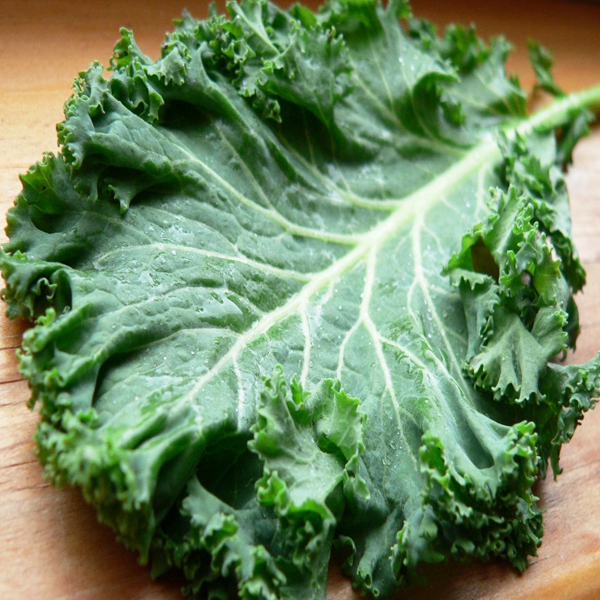 Cabbage Flower Kale Organic Seeds