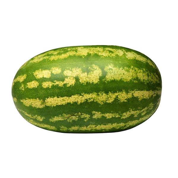 Giant Watermelon Fruit Seeds