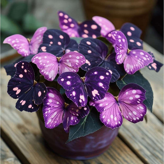 100 PCS Enchanting Purple Butterfly Violet Seeds