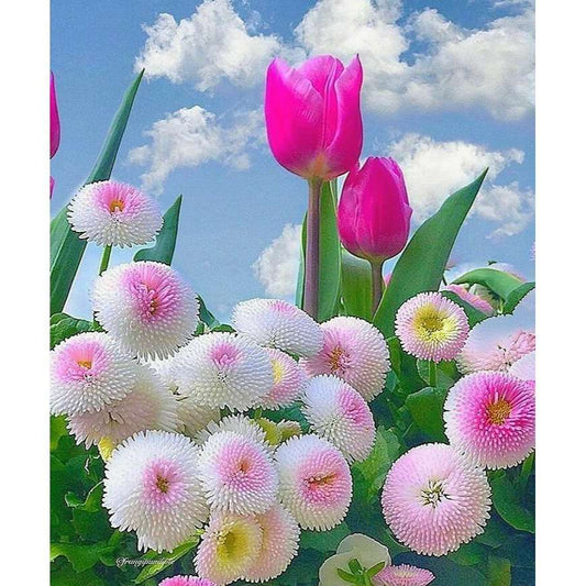 100 PCS Premium Daisy Seeds - Bringing Vibrant Colors to Your Garden