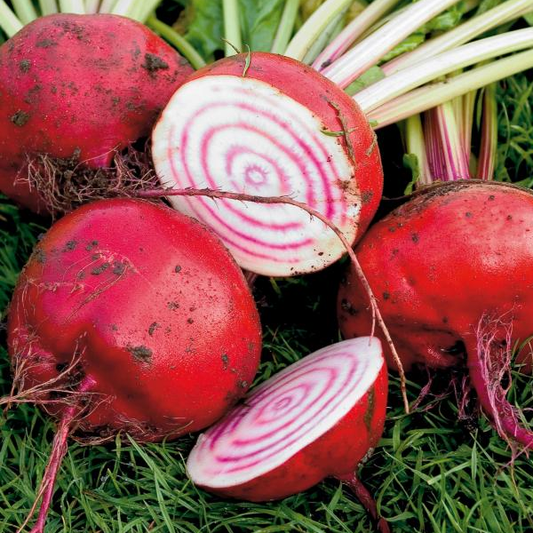 Beetroot Seeds