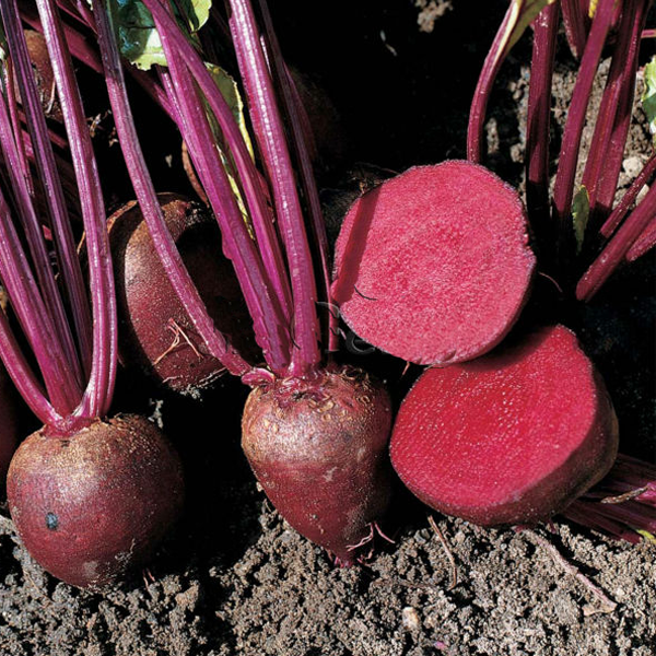 Beetroot Seeds