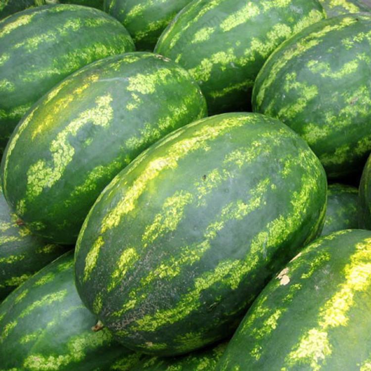 Giant Watermelon Fruit Seeds