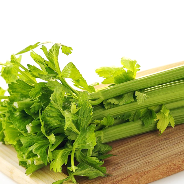 Celery Organic Vegetable Seeds