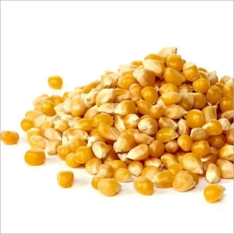 Creamed Baby Corn Seeds