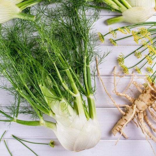 Organic Fennel Seeds