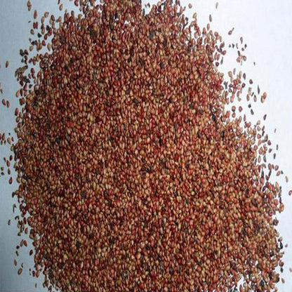 Four Seasons Potted Red Strawberry Seeds
