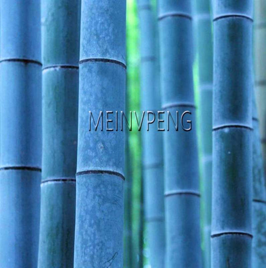 50 Pcs Blue Bamboo Seed Pack
