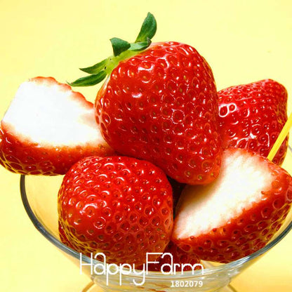 Strawberry Seeds for Planting - Sweet, Juicy Red Fruit, Perfect for Patio & Garden - Non-GMO, Easy Grow