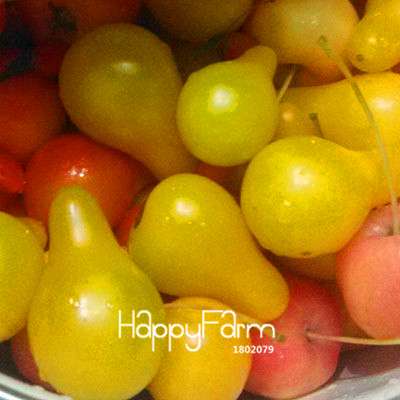 Organic Purple Tomato Seeds for Home Garden - Non-GMO, Easy Grow