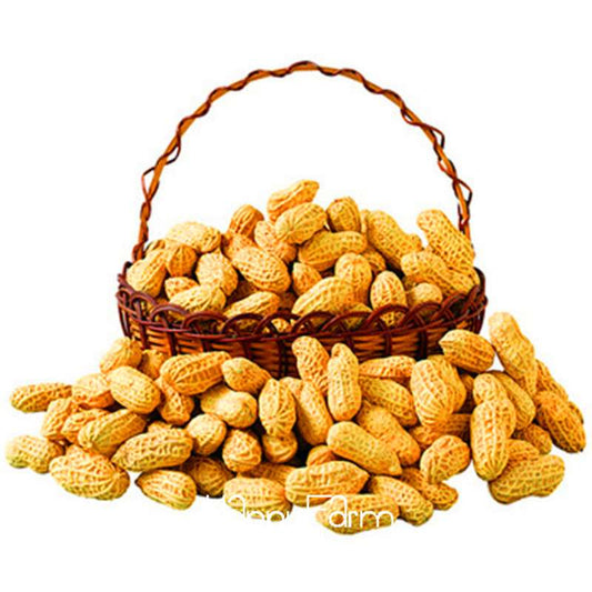 Organic Peanut, Vegetable & Fruit Seeds for Garden Planting - Non-GMO, Potted Plants