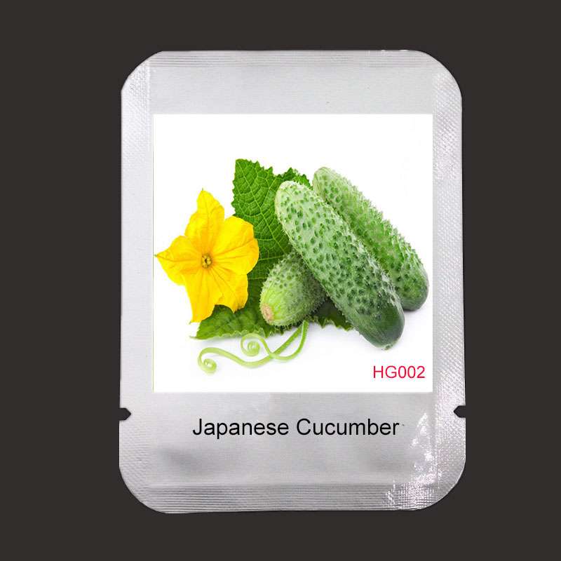 Fast-Growing Japanese Cucumber Seeds - Premium Cucumis Sativus Seeds for Home Garden