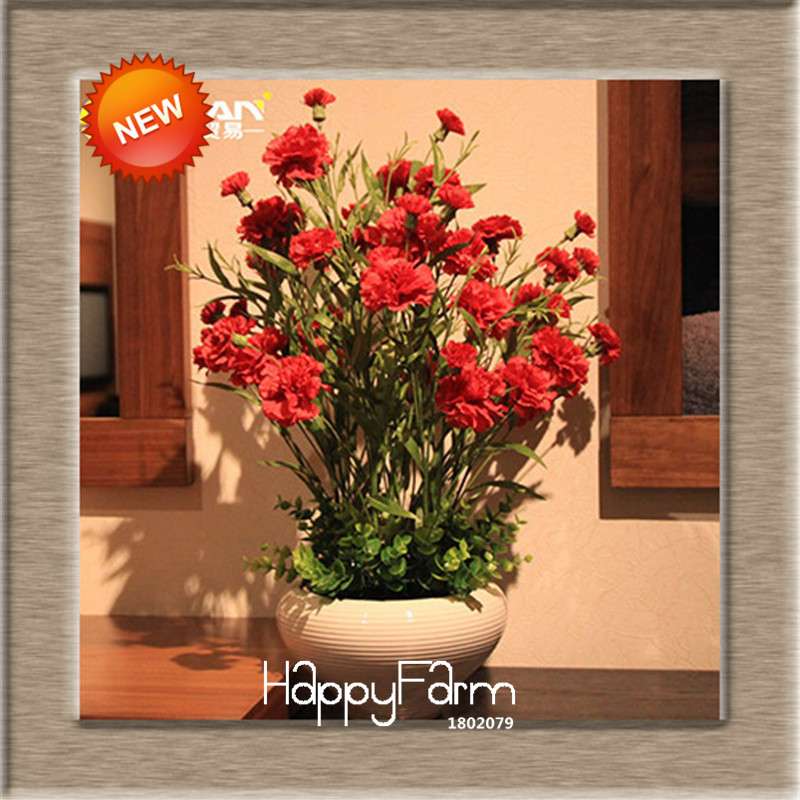 16 Colors Dianthus Caryophyllus Flower Seeds, Balcony Potted Garden Plants, Carnation Seeds for Home & Courtyard