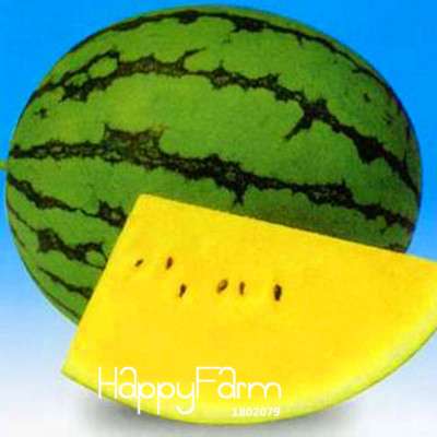 Yellow Flesh Watermelon Seeds for Planting - Sweet Home Garden Fruit, Non-GMO, High Yield