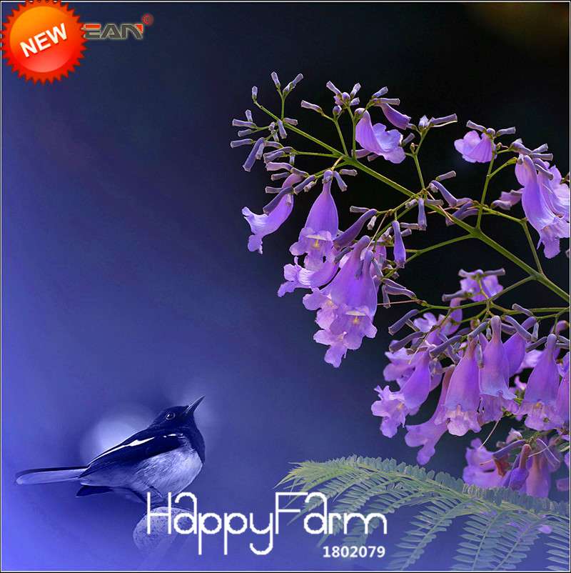 Blue Purple Jacaranda Mimosifolia Tree Seeds - Fast-Growing Flowering Shrub for Your Garden