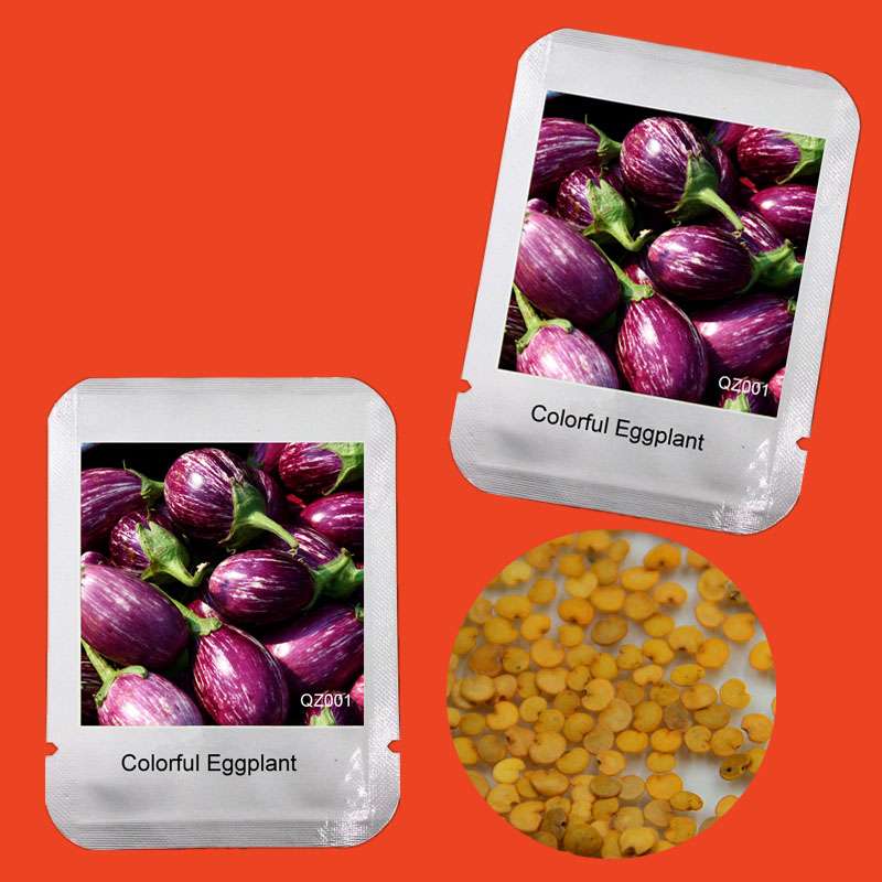 Colorful Eggplant Seeds for Planting - Easy-Grow, Natural Green Vegetable Seeds for Home Garden
