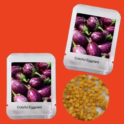 Colorful Eggplant Seeds for Planting - Easy-Grow, Natural Green Vegetable Seeds for Home Garden