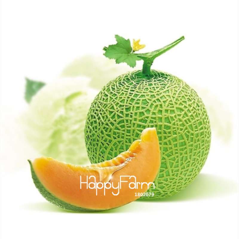 Juicy Cantaloupe Seeds - Extra Sweet, Large Hami Melon for Balcony & Garden - Professional Pack