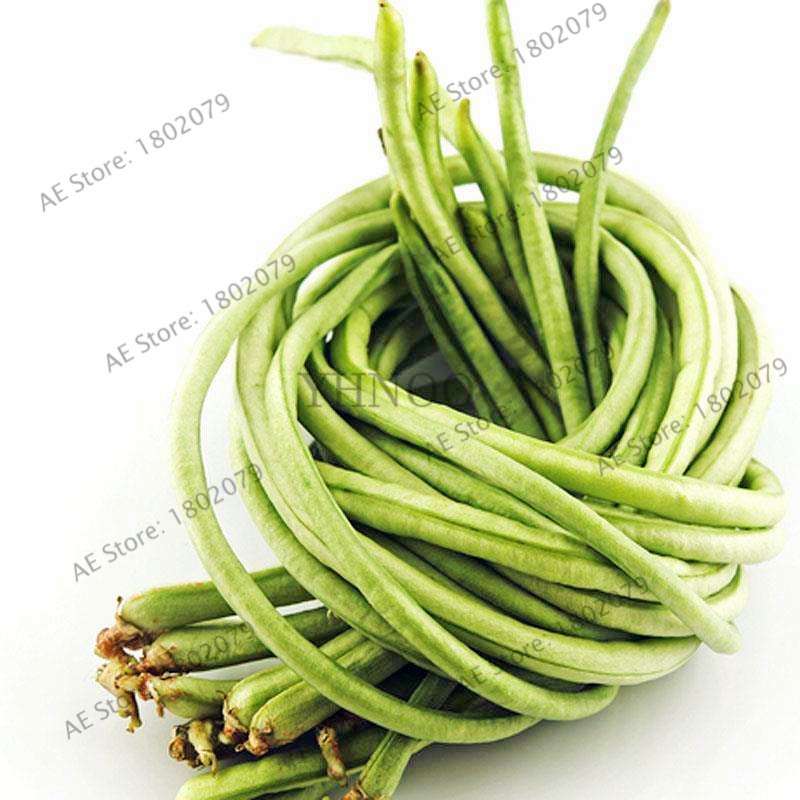 Organic Cowpea Seeds - Non-GMO, Healthy Home Garden Planting, DIY Bonsai Vegetables (Vigna Unguiculata)