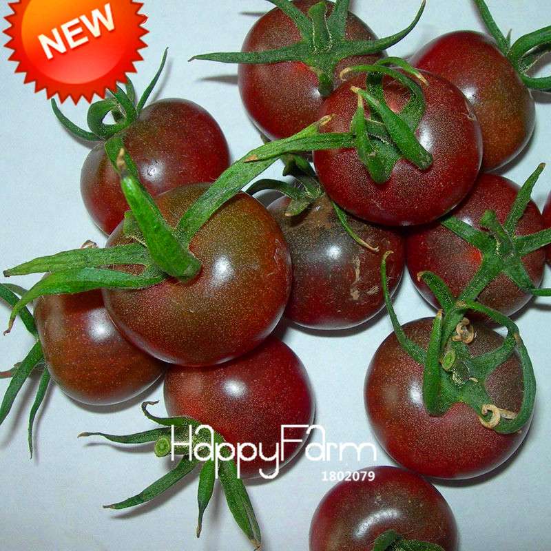 Organic Yellow Pear Tomato Seeds for Home Garden - Non-GMO, Heirloom, Easy Grow