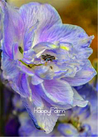 Rocket Larkspur Seeds - Easy-Grow Delphinium Flowers for Home Garden & DIY Potted Bonsai