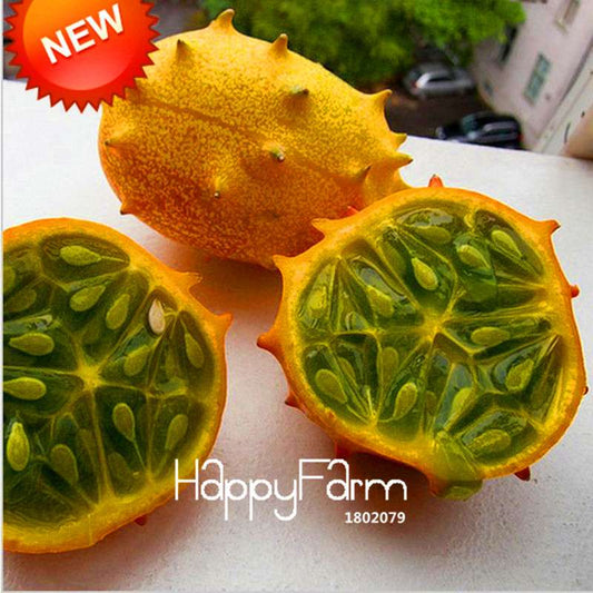 Organic Green Cucumber Seeds - Rare, Delicious, Non-GMO - for Home Garden