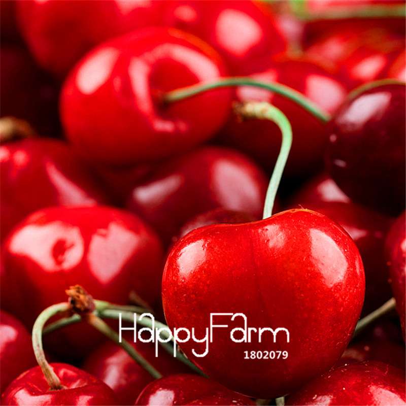 Cherry Bonsai Tree Seeds for Planting - DIY Home Garden Decor, Fruit Seeds for Potted Plants