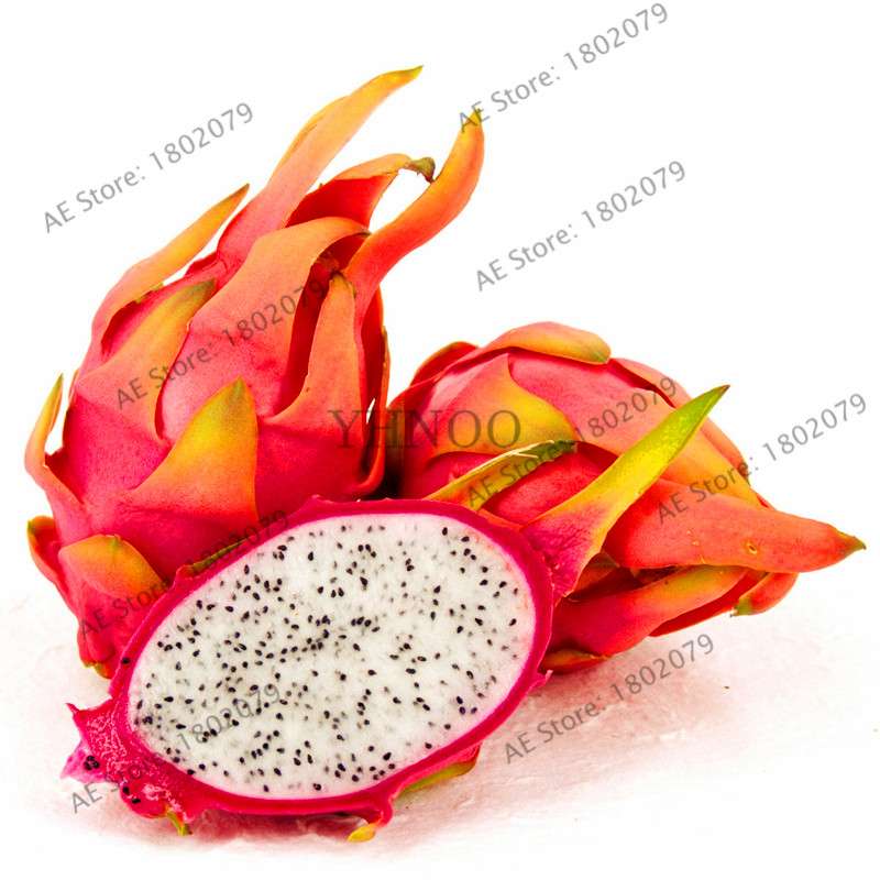 Sweet Dragon Fruit Seeds - Fresh Pitaya for Home Garden Planting | Delicious & Easy to Grow