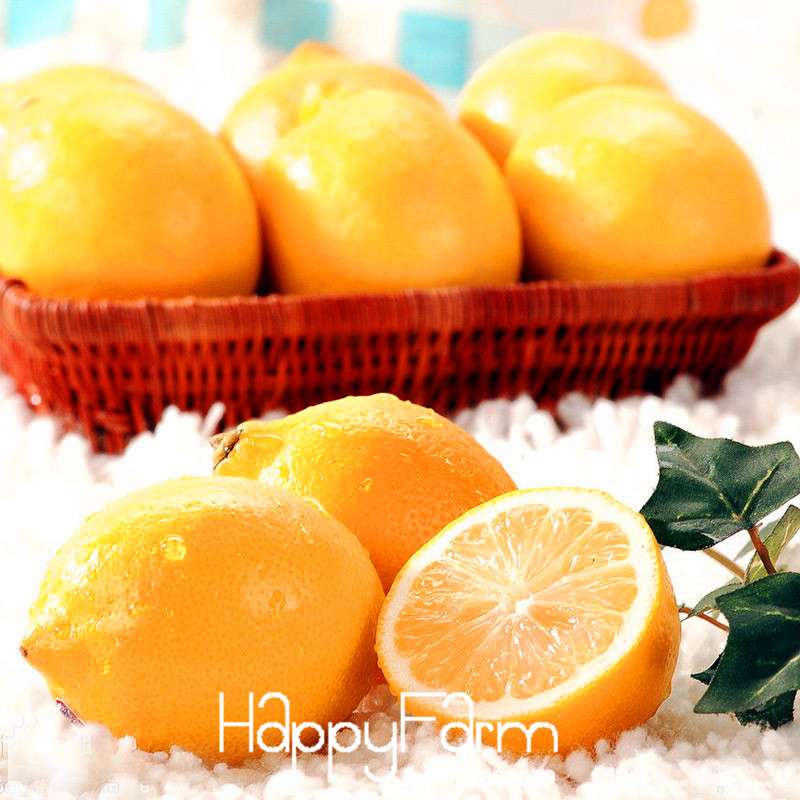 Yellow Heart Lemon Seeds - Grow Citrus Limon Fruit Tree for Garden, Farm, or Bonsai | Non-GMO