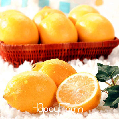 Yellow Heart Lemon Seeds - Grow Citrus Limon Fruit Tree for Garden, Farm, or Bonsai | Non-GMO