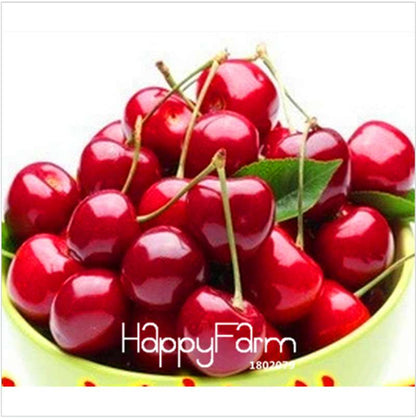 Cherry Bonsai Tree Seeds for Planting - DIY Home Garden Decor, Fruit Seeds for Potted Plants