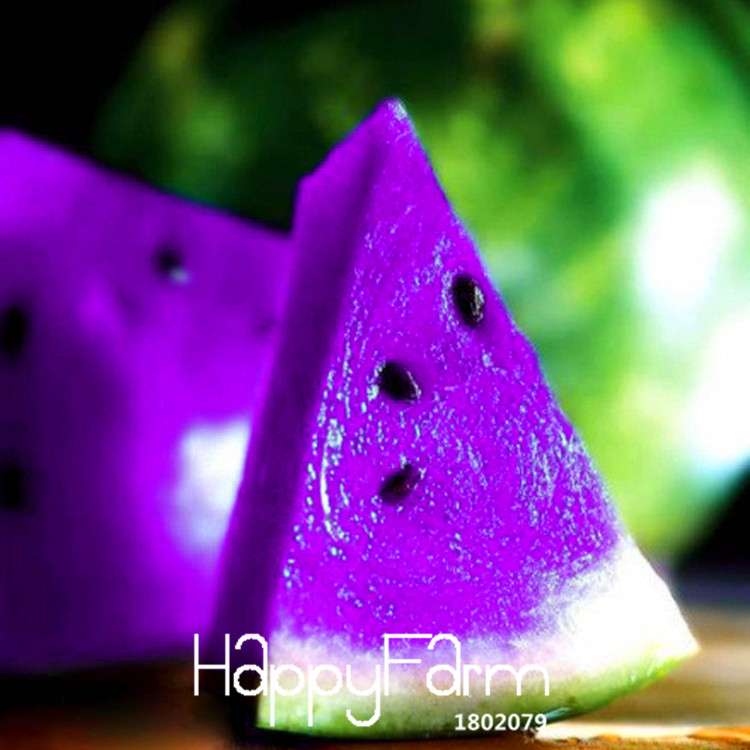 Rare Purple Flesh Watermelon Seeds - Giant Sweet Fruit for Home Garden Planting