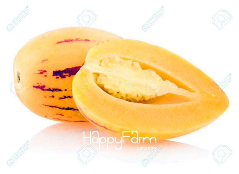 Non-GMO Organic Pepino Melon Seeds | Sweet Fruit Seeds for Home Garden Planting