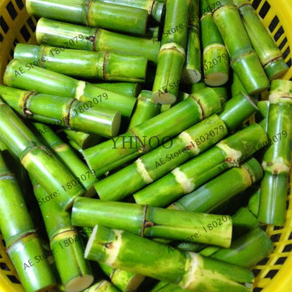 2025 New Sugar Cane Seeds - for Home Garden, Medicinal & Vitamin-Rich Planting (Non-GMO)