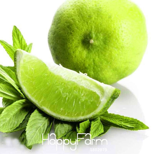 Green Lemon Seeds for Planting - Fresh Fruit, Garden & Bonsai Tree Seeds