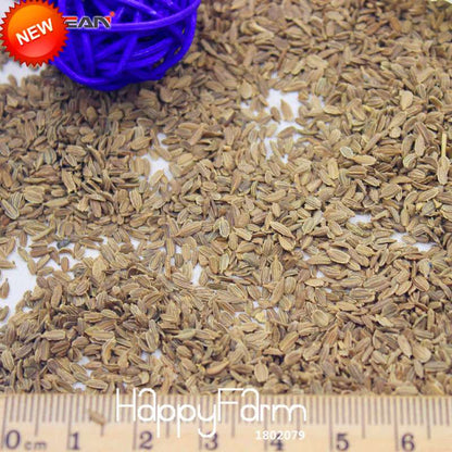 Carrot Seeds for Planting - Non-GMO, Fresh Vegetable Seeds for Home Garden (Potted & Outdoor)