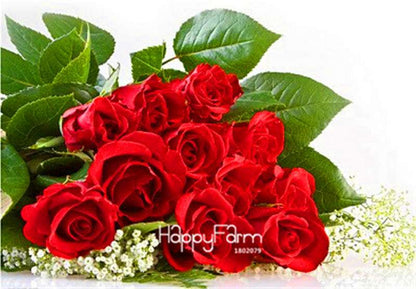 Rose Flower Seeds - Perennial, Easy to Grow, Blooms All Seasons - Planting Guide Included