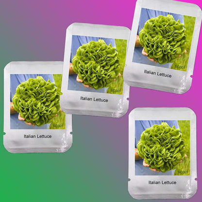 Italian Lettuce Seeds - Easy to Grow, Delicious & Fresh for Salads, Home Garden DIY, Professional Pack