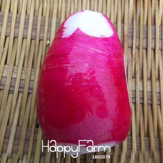 Organic Non-GMO Red Radish Seeds - Premium Vegetable & Fruit Garden Seeds for Home Planting