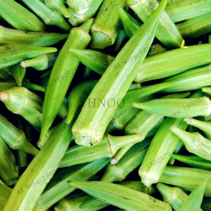 Organic Non-GMO Okra Seeds for Kidney Health - Fun Countryside Garden Supplies