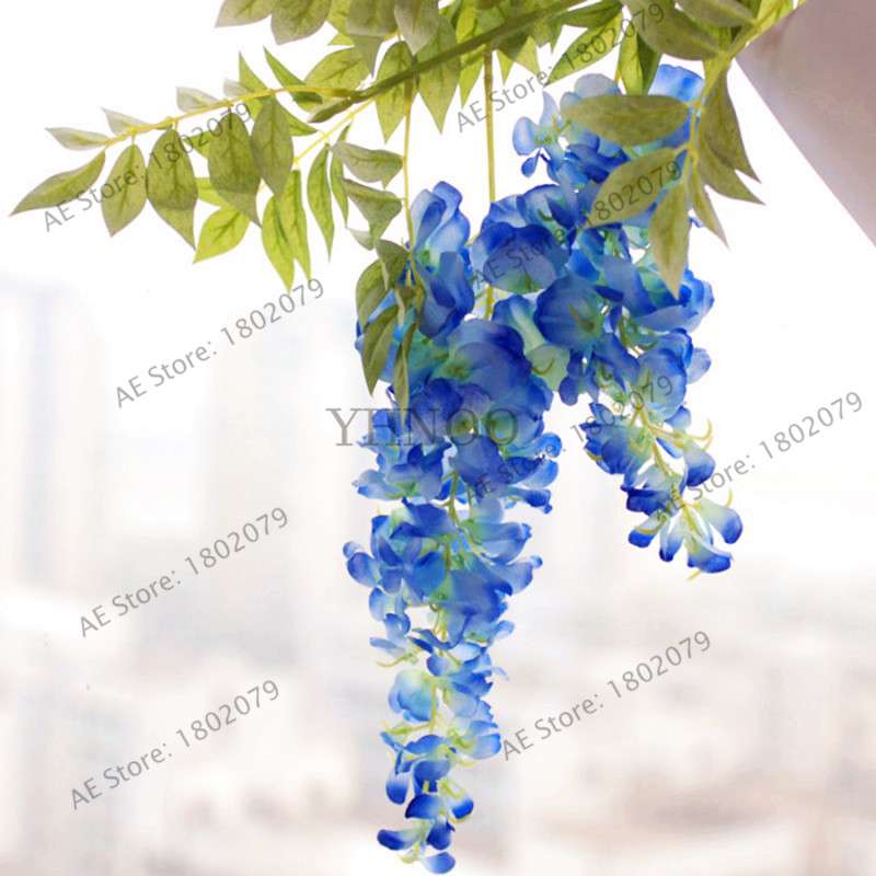 Rare Red Wisteria Seeds - Bonsai Tree Kit for Indoor Home Decor | Easy-Grow Mini Bonsai Plants